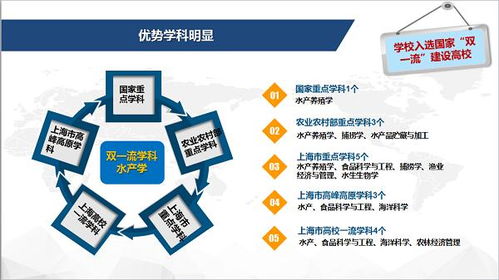 報考海大的一萬個理由丨2020上海海洋大學報考寶典,你想了解的這里都有