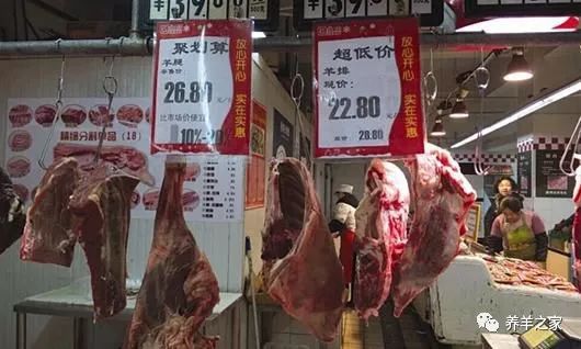 錫盟牧民,近期羊少,活羊收購價上漲導(dǎo)致羊肉上漲