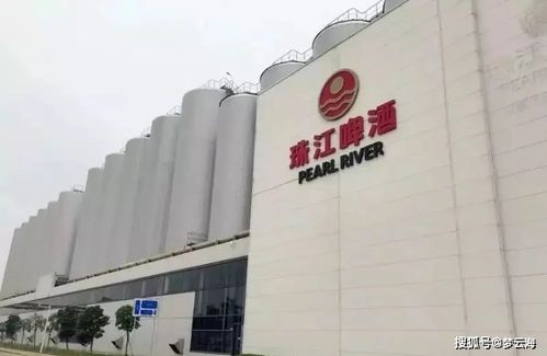 珠江啤酒大家熟嗎 不熟 我來介紹一下就熟了