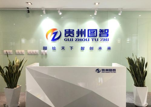 貴州圖智 聚焦大數據 堅定踐行 測繪地理信息 模式