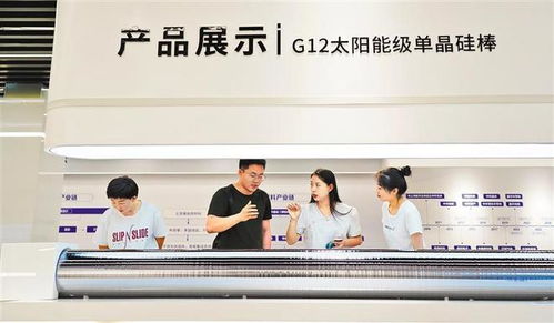 賽罕爭先 引領專業的商務信息咨詢服務