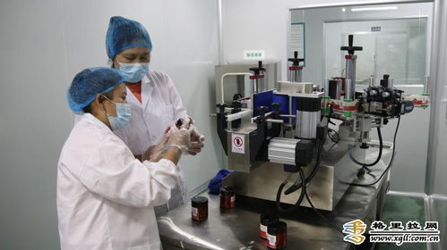 香格里拉市南素商貿產品深加工推動區域經濟發展，迪慶頻道關注商務信息咨詢新動態